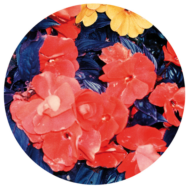Album artwork for Dj Kush Boogie - Home + Living