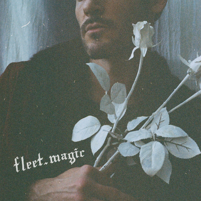 Album artwork for fleet.dreams - fleet.magic