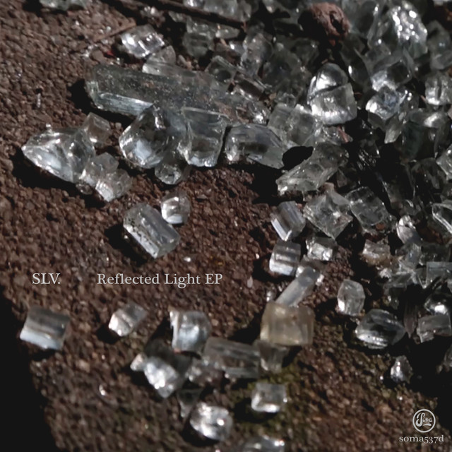Album artwork for SLV - Reflected Light