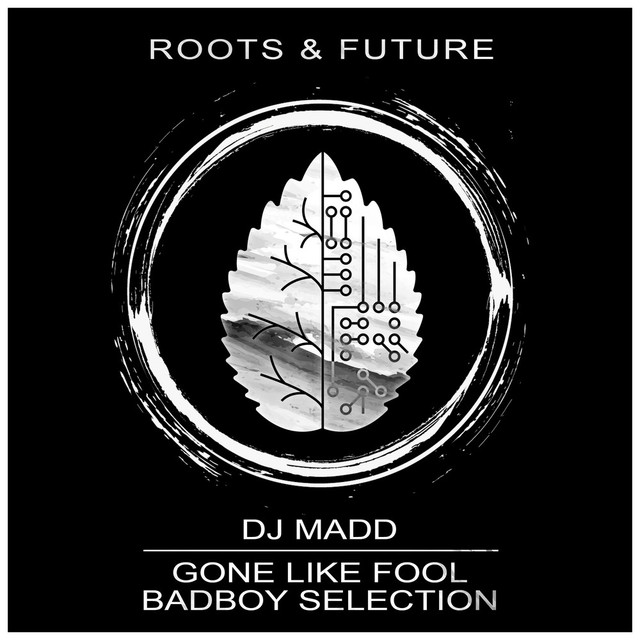 Album artwork for DJ Madd - Gone Like Fool / Badboy Selection