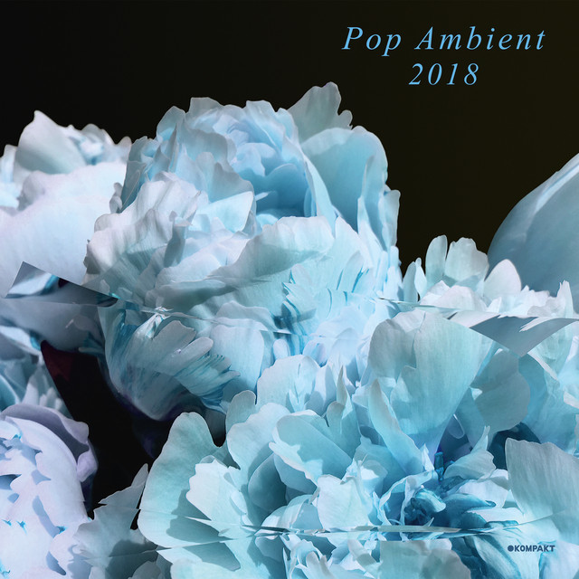 Album artwork for Various Artists - Pop Ambient 2018