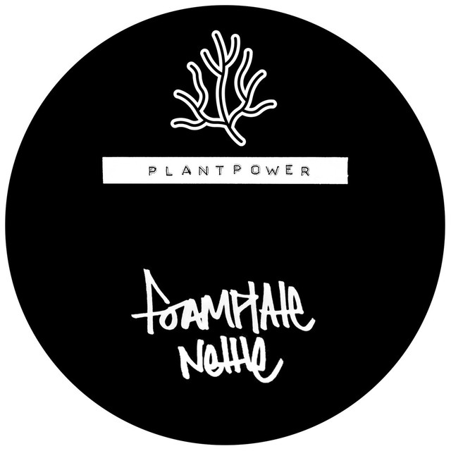 Album artwork for Foamplate - Nettle / Moose Fly