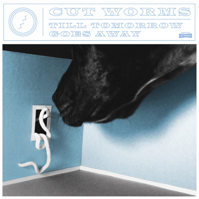 Album artwork for Cut Worms - Till Tomorrow Goes Away