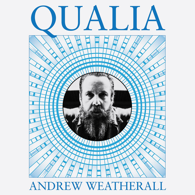 Album artwork for ANDREW WEATHERALL - Qualia