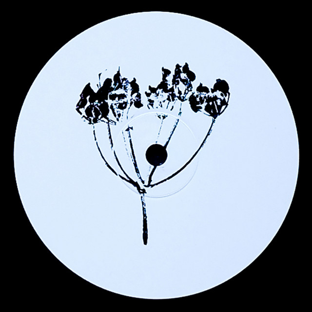 Album artwork for Alex.Do - Plangent#011