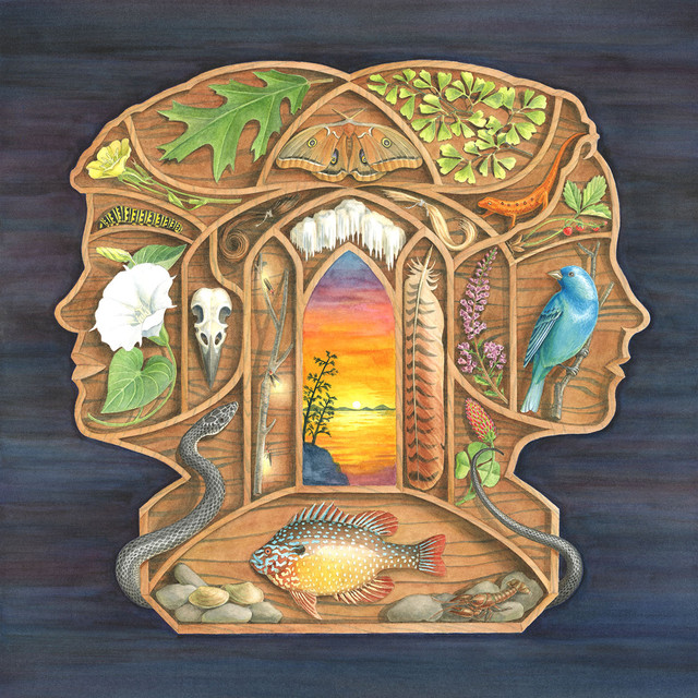 Album artwork for The Other Years - Sinks of Gandy / Maysville