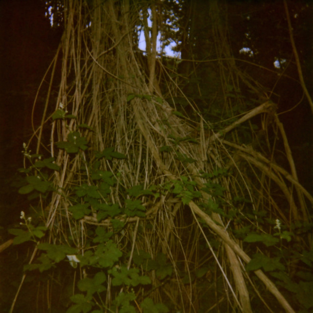 Album artwork for Benoît Pioulard - Stanza I-III