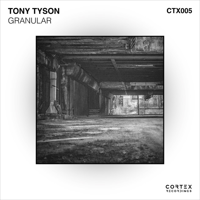 Album artwork for Tony Tyson - Granular