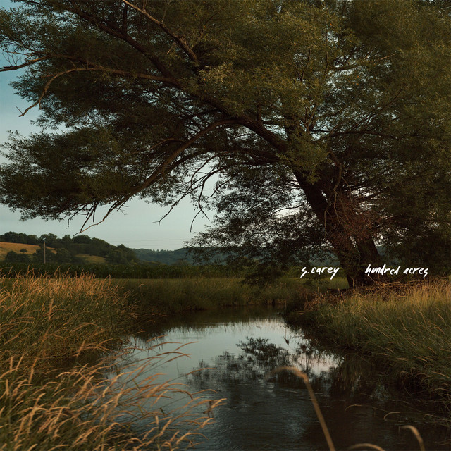 Album artwork for S. CAREY - Hundred Acres