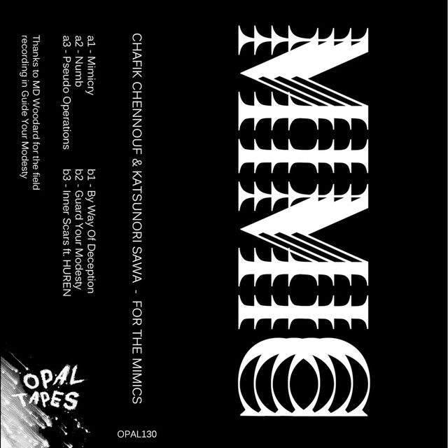 Album artwork for Chafik Chennouf & Katsunori Sawa - For the Mimics