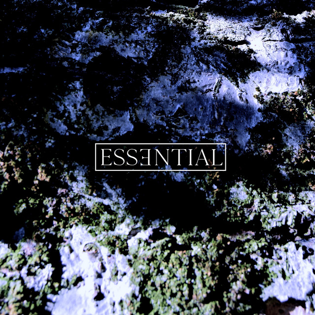 Album artwork for Evod - ESSENTIAL 009