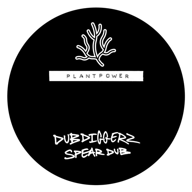 Album artwork for DubDiggerz - Spear Dub