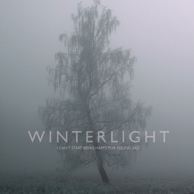 Album artwork for Winterlight - I Can't Start Being Happy for Feeling Sad