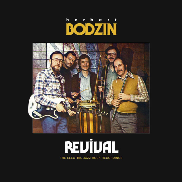 Album artwork for Herbert Bodzin - Revival - The Electric Jazz Rock Recordings