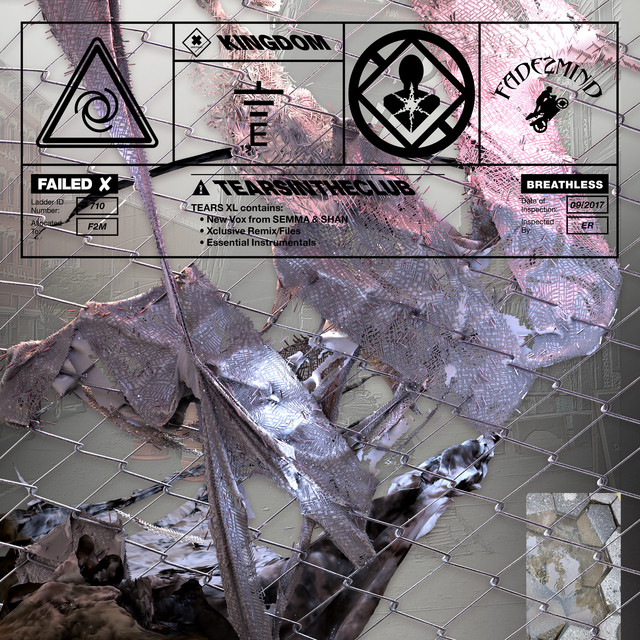 Album artwork for Kingdom - Into The Fold (Remix)