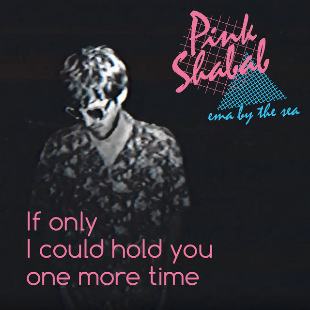 Album artwork for Pink Shabab - If Only I Could Hold You One More Time