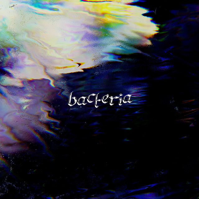 Album artwork for CAVALIER - Bacteria