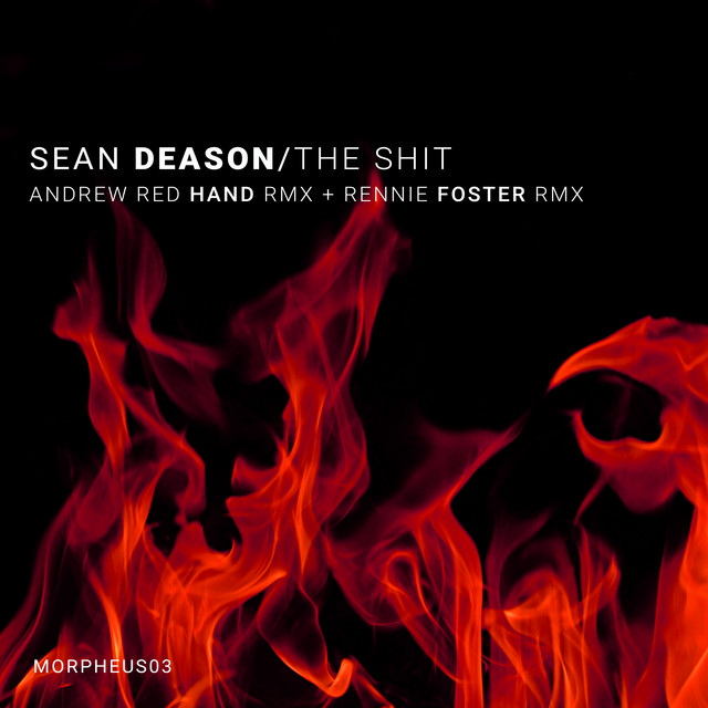 Album artwork for SEAN DEASON - The Shit Rmxs