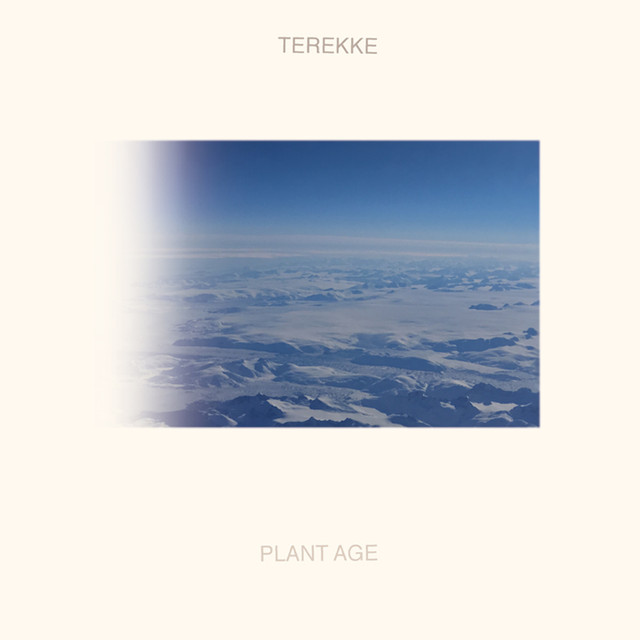 Album artwork for TEREKKE - Plant Age
