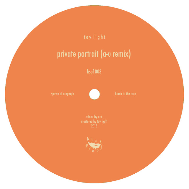 Album artwork for Toy Light - Private Portrait (A-0 Remix)