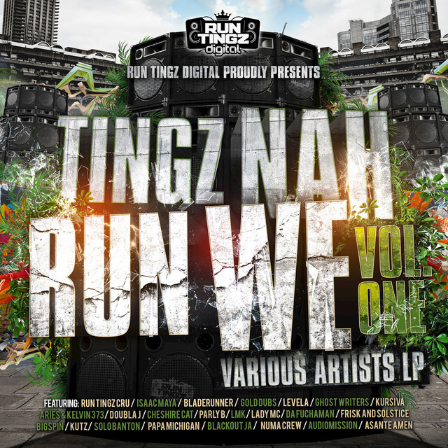 Album artwork for Various Artists - Tingz Nah Run We, Vol. 1