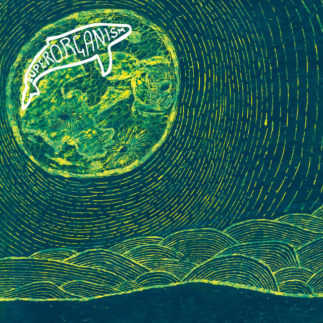 Album artwork for Superorganism - Night Time