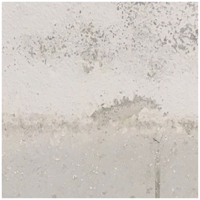 Album artwork for Jasmine Guffond - Degradation Loops