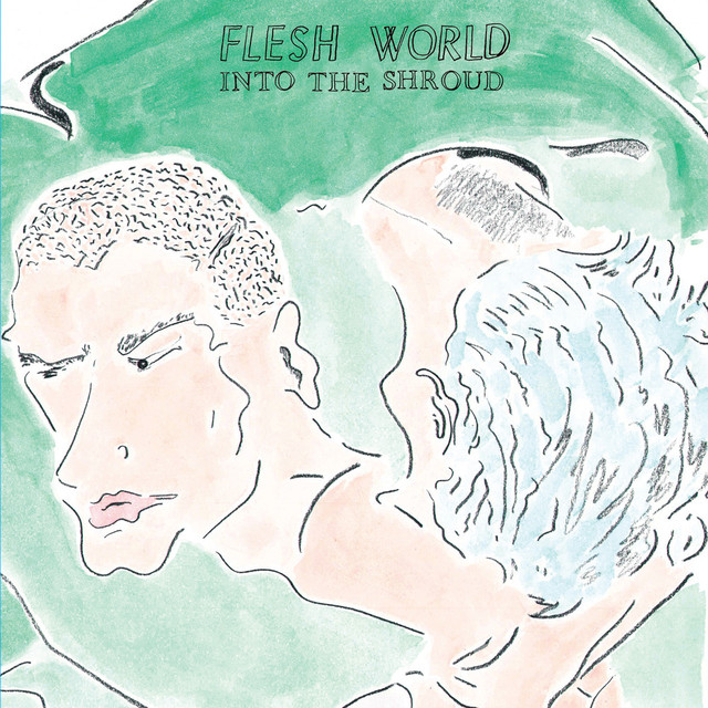 Album artwork for Flesh World - Into the Shroud