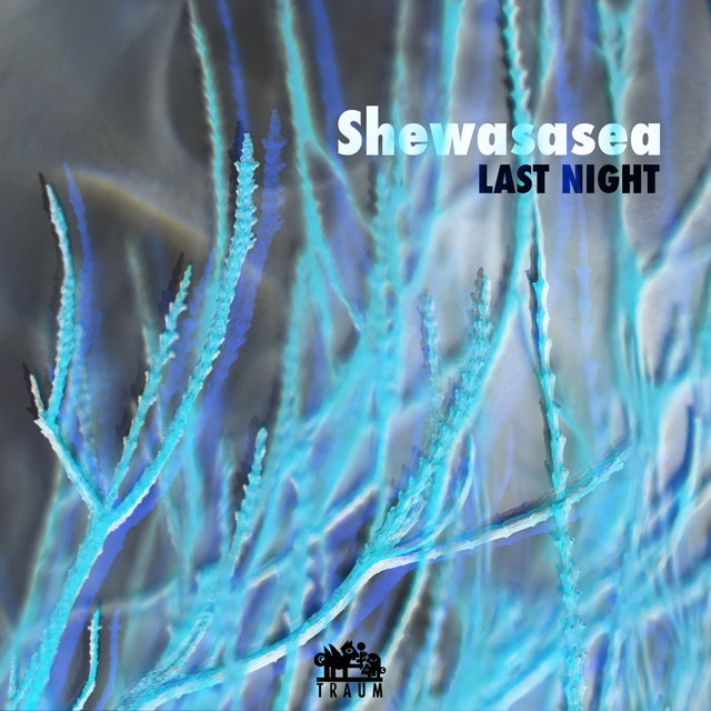 Album artwork for Shewasasea - Last Night