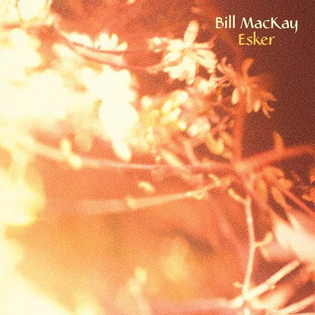 Album artwork for Bill MacKay - Esker