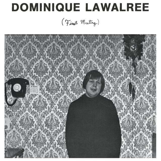 Album artwork for Dominique Lawalrée - First Meeting