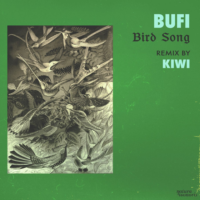 Album artwork for Bufi - Bird Song