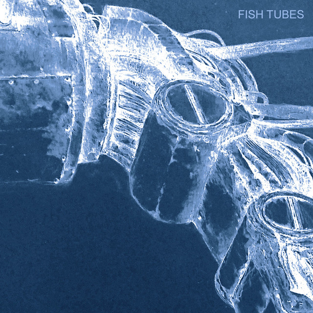 Album artwork for SCB - Fish Tubes