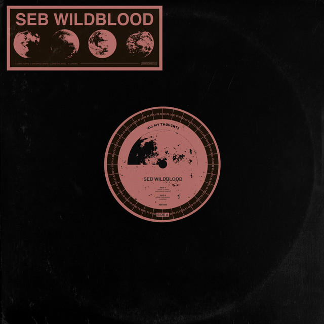 Album artwork for Seb Wildblood - Landing