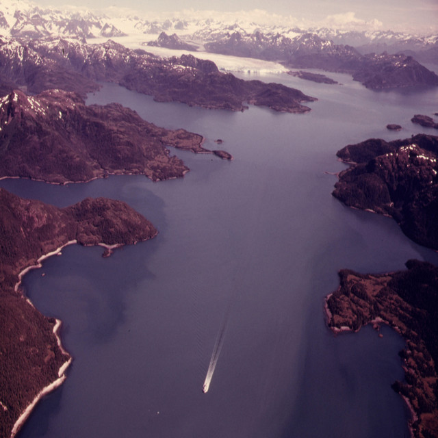 Album artwork for Celer - Valdez