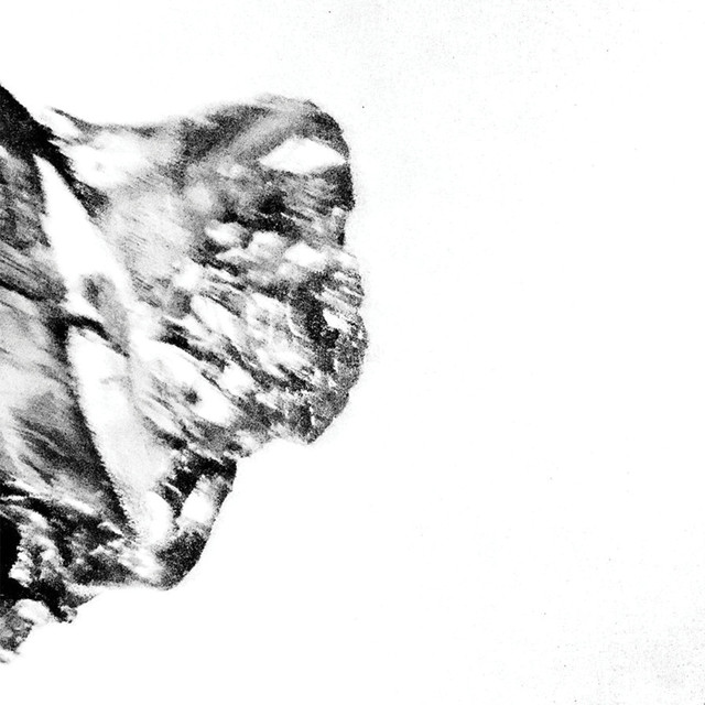 Album artwork for HENRY CARAVAN - A SHRINE TO A RADIATOR
