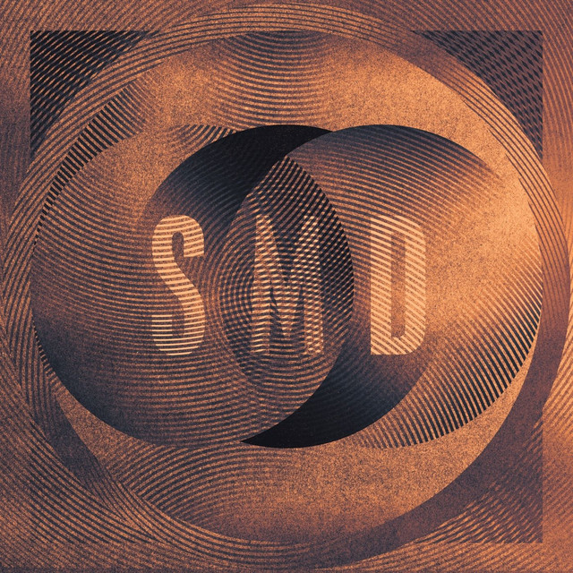 Album artwork for SIMIAN MOBILE DISCO - Run (Edit 1)