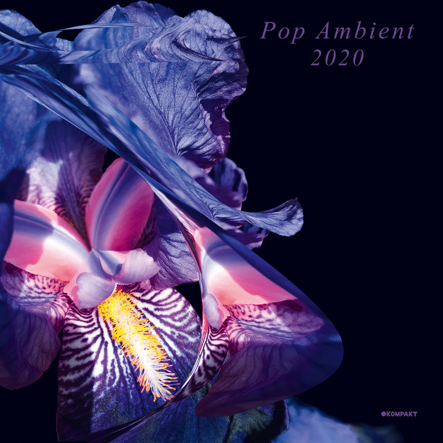 Album artwork for Various Artists - Pop Ambient 2020