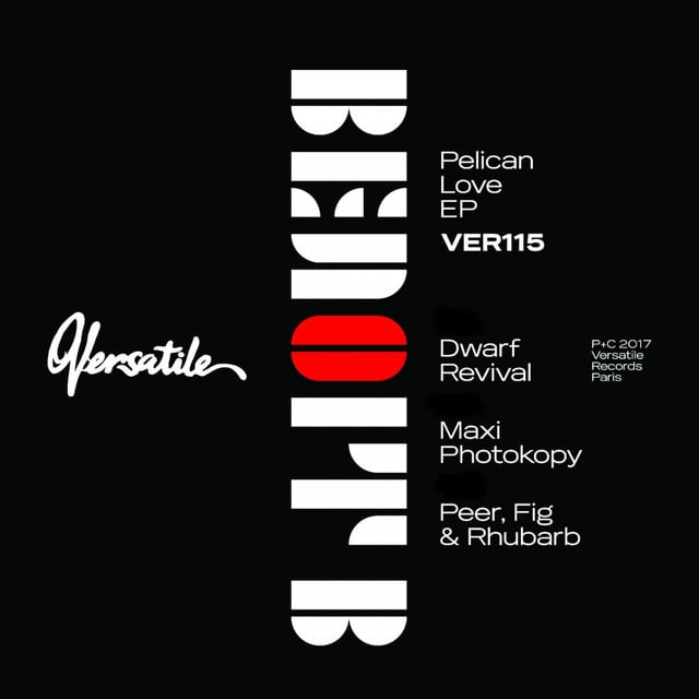 Album artwork for Benoit B - Pelican Love (Ver115)