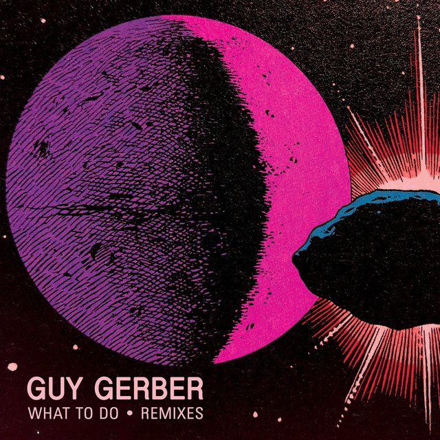 Album artwork for Guy Gerber - What To Do (Remixes)