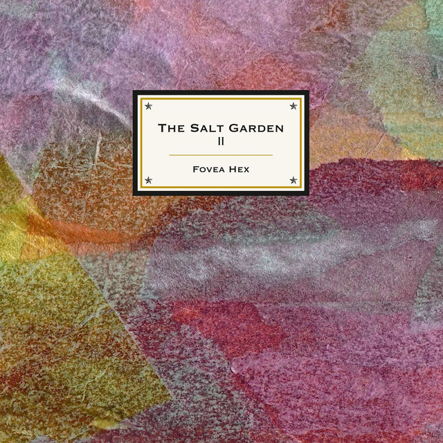 Album artwork for FOVEA HEX - The Salt Garden 2