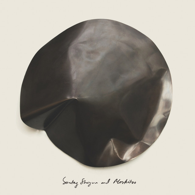 Album artwork for Sontag Shogun & Moskitoo - The Things We Let Fall Apart / The Thunderswan