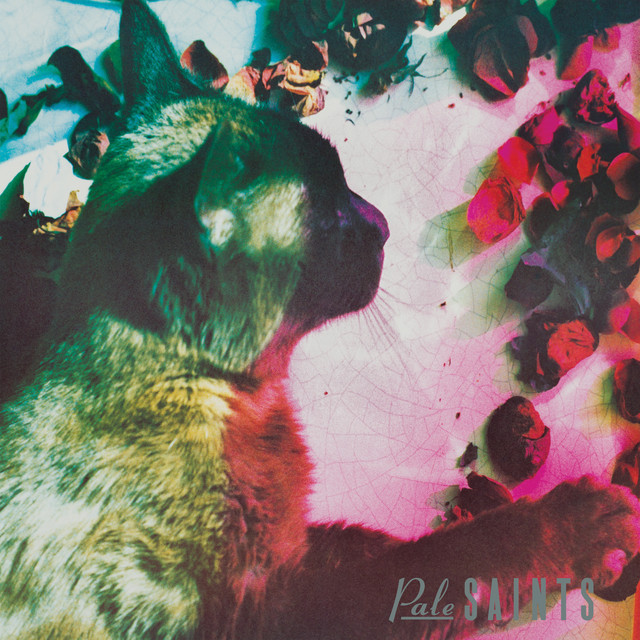 Album artwork for Pale Saints - You Tear the World in Two (Woodhouse Studio LP Demo) (Remastered)
