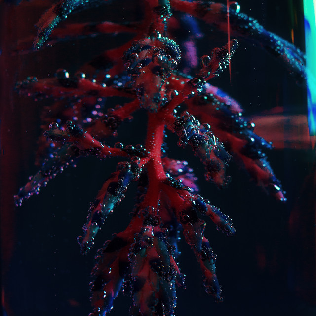 Album artwork for Objekt - Cocoon Crush