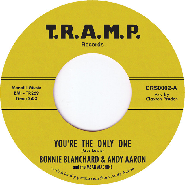 Album artwork for Andy Aaron - You're the Only One