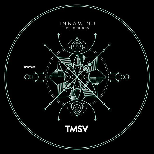 Album artwork for TMSV - No Sleep