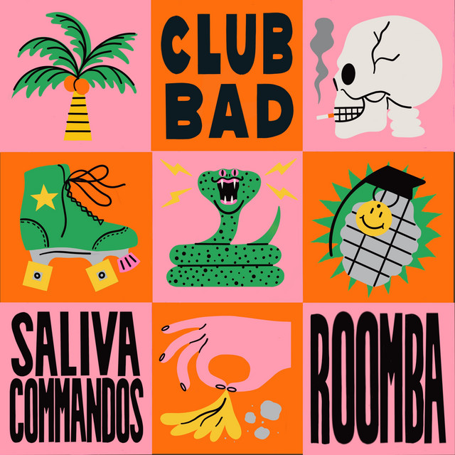 Album artwork for Saliva Commandos - Roomba