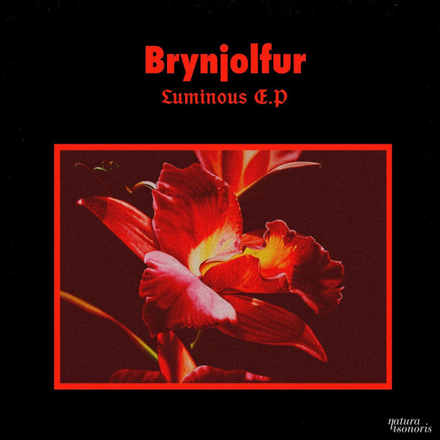 Album artwork for Brynjolfur - Luminous EP