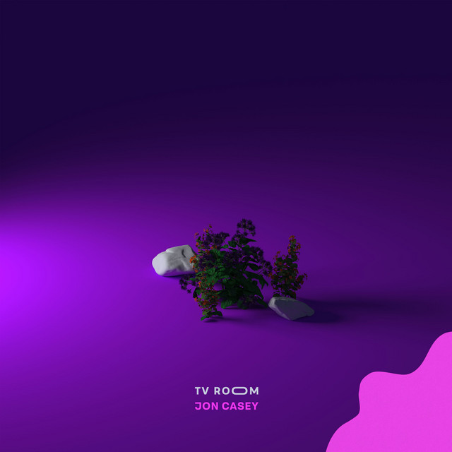 Album artwork for Jon Casey - TV Room