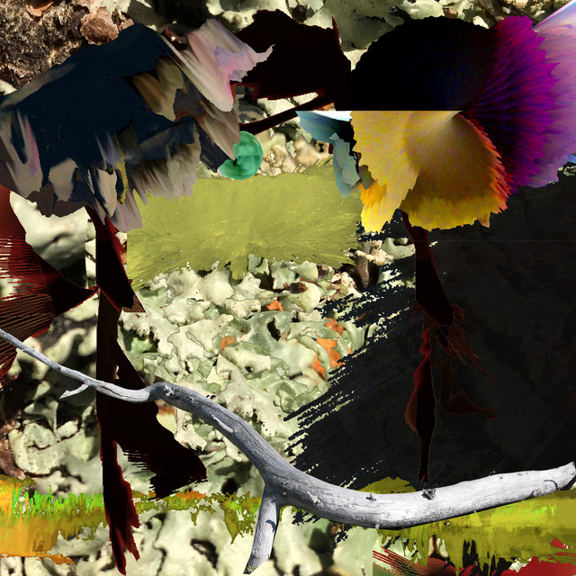 Album artwork for AGF - SOLIDICITY